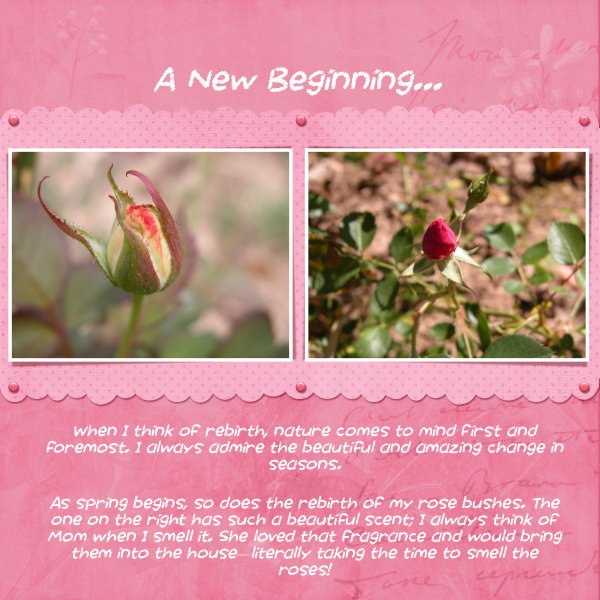 A New Beginning...