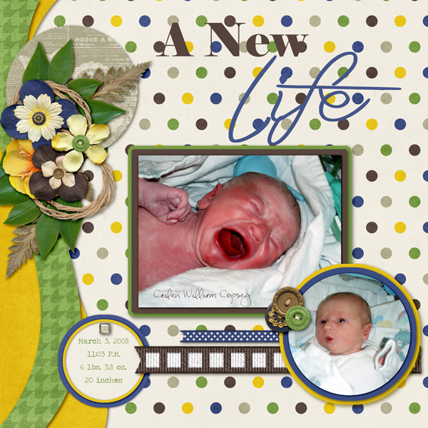 A New Life