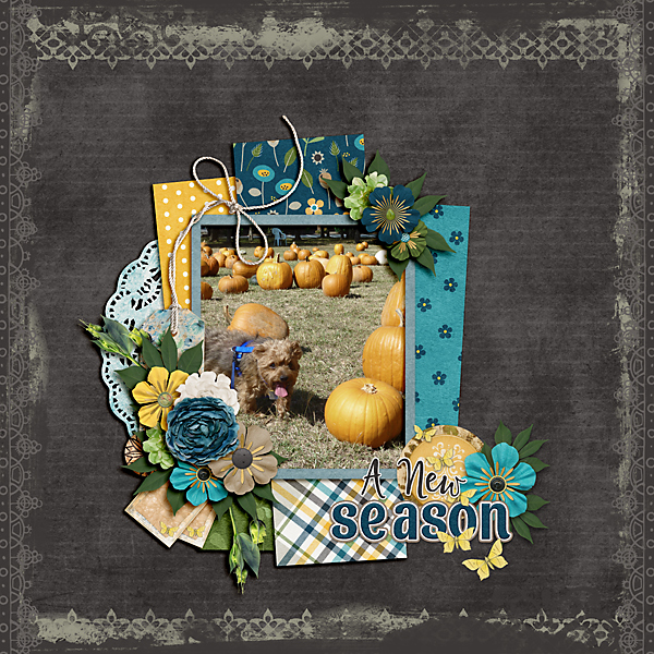 A New Season