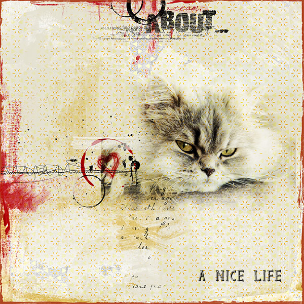 A Nice Life