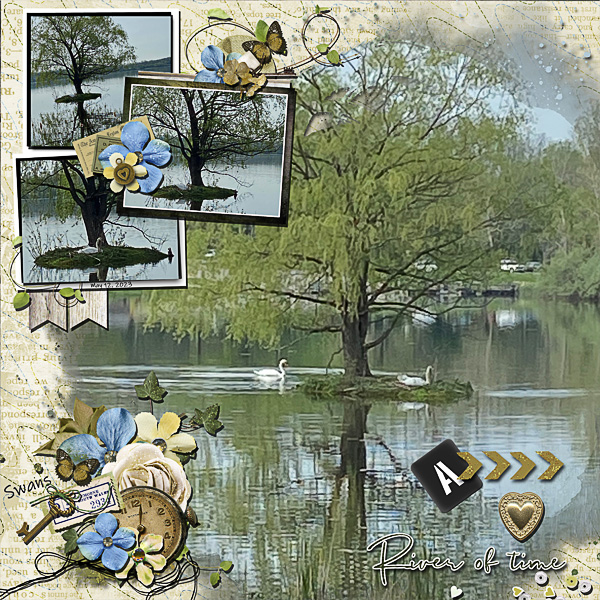A Pair of Swans