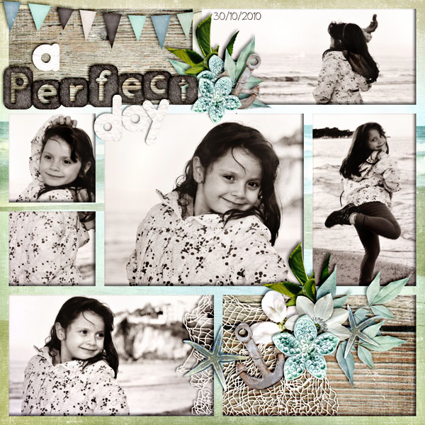 A Perfect Day
