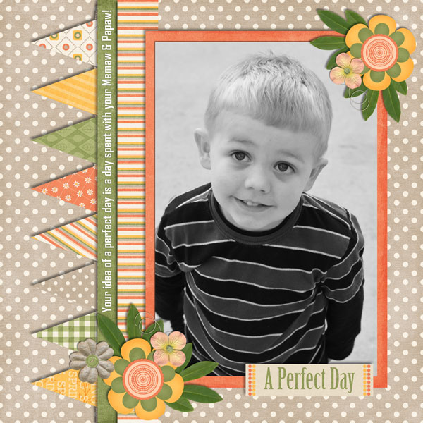A Perfect Day