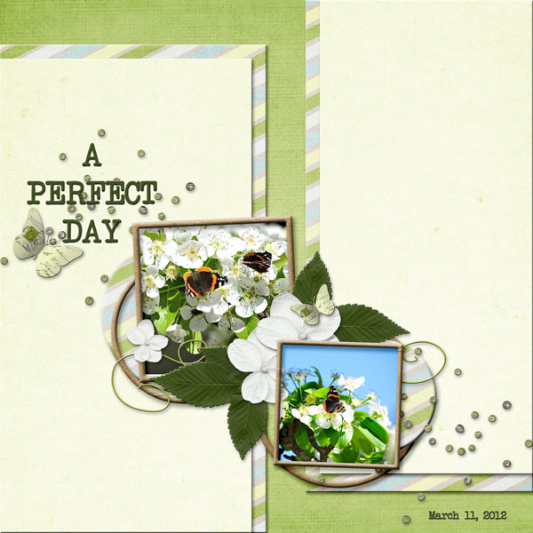 A Perfect Day