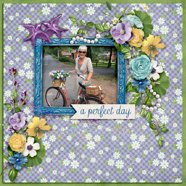 A-perfect-day3