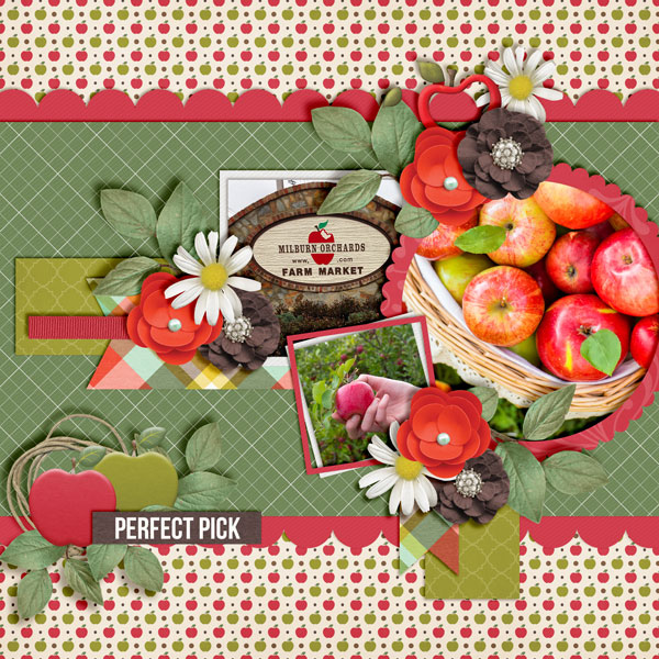 A-Perfect-Pick