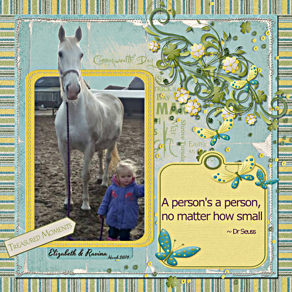 A persons a