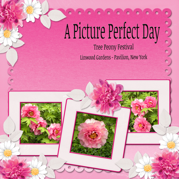 A Picture Perfect Day