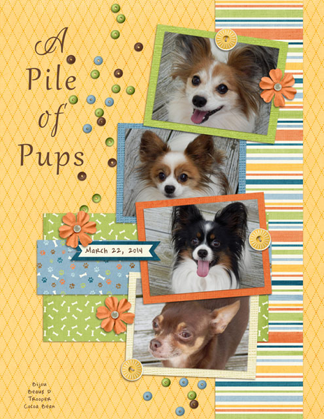 A Pile of Pups