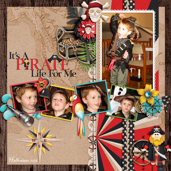 A Pirate Life
