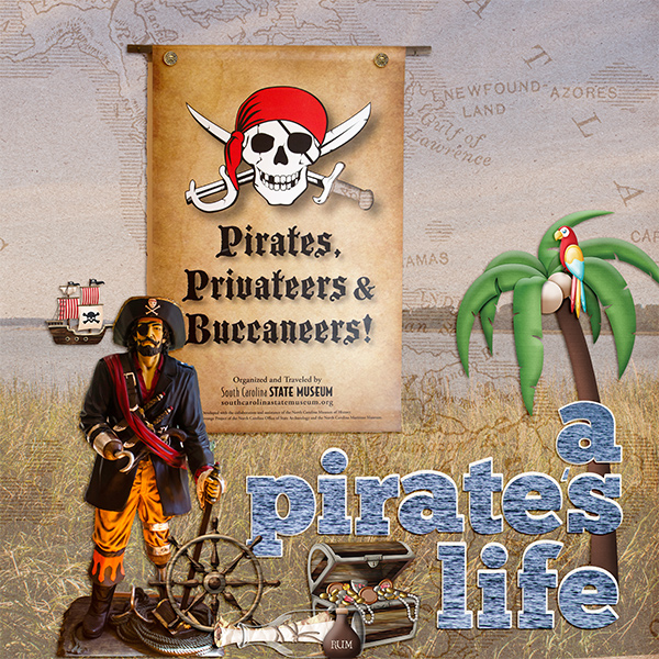 A Pirate