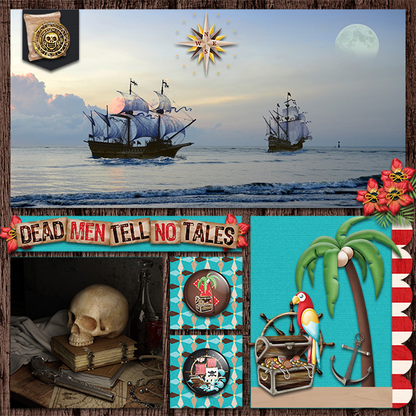A Pirate