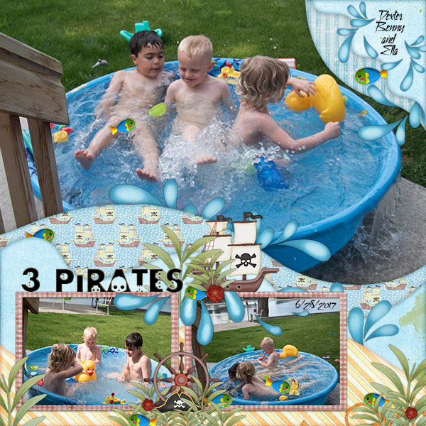 A Pirates Life