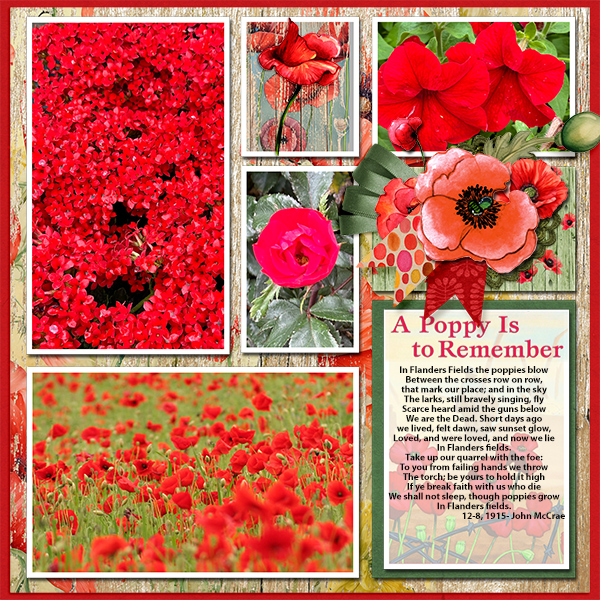 A Poppy is to Remember