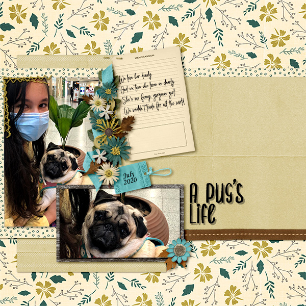 A Pugs Life