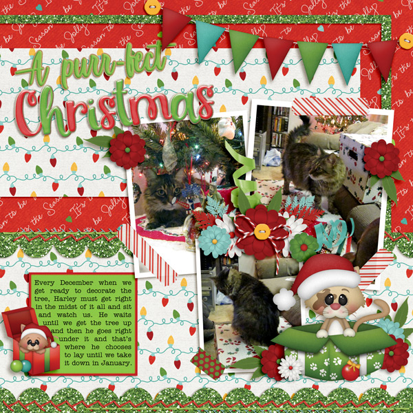 A Purr-fect Christmas