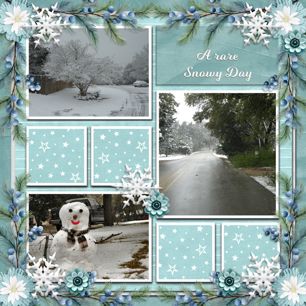 A Rare Snowy Day