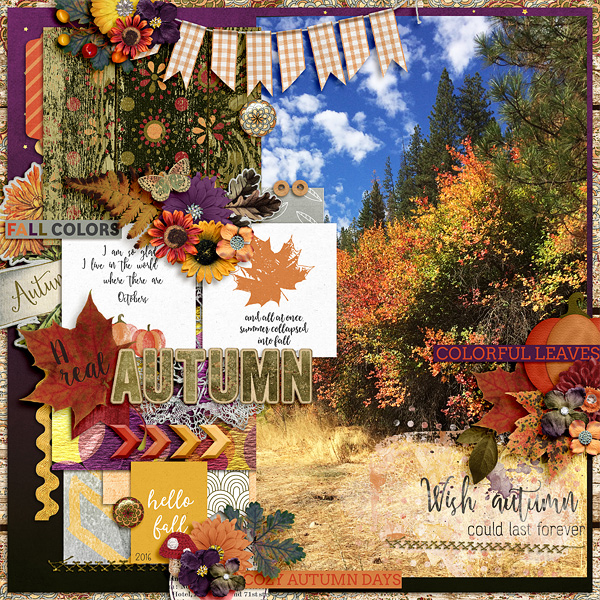 A real autumn