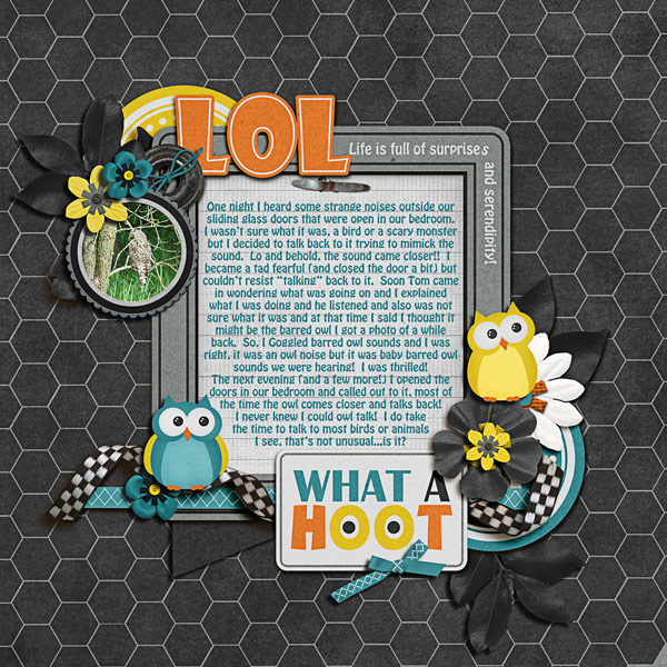 A Real HOOT!