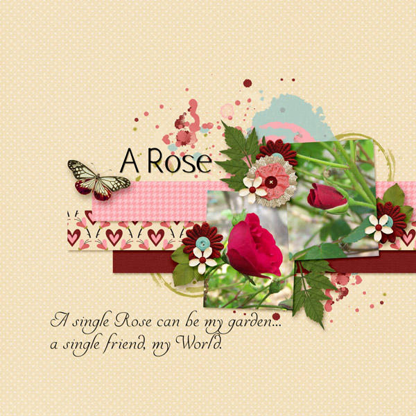 A Rose - Dare 501