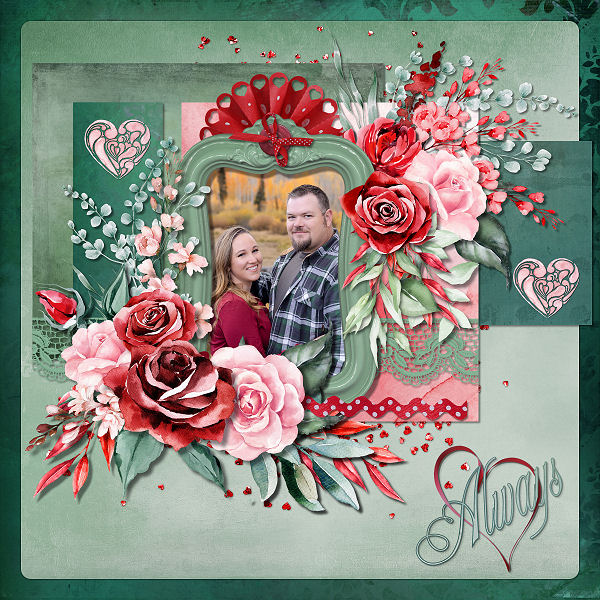 A Rose is a Rose by Ilonka