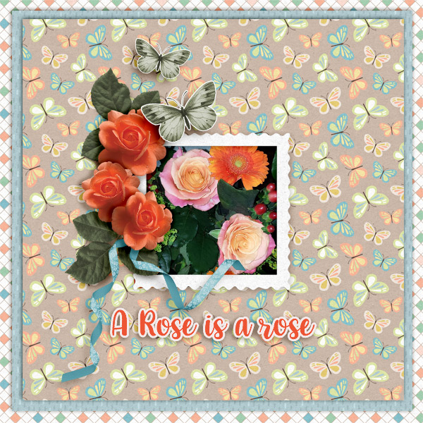 A-Rose-is-a-rose2