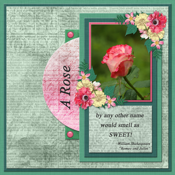 A Rose ...