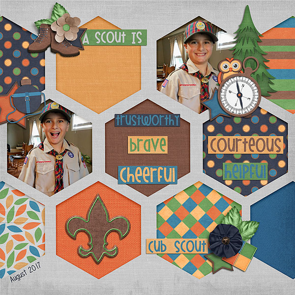 A Scout Is