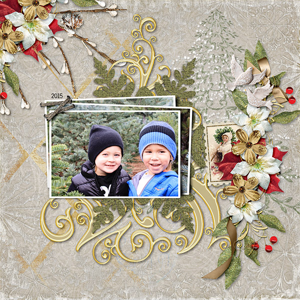 A Season Of Reflection