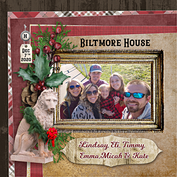 A Selfie at Biltmore house