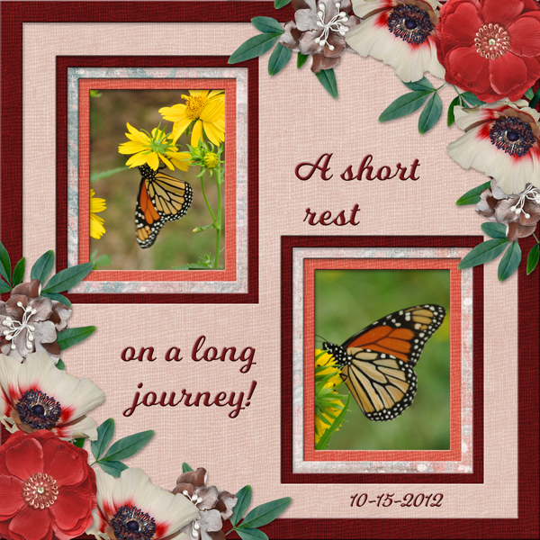 A short  rest on a long journey!