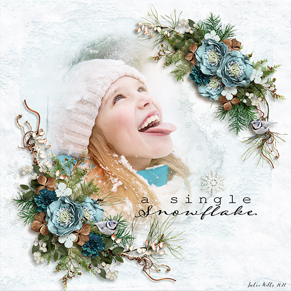 a single snowflake