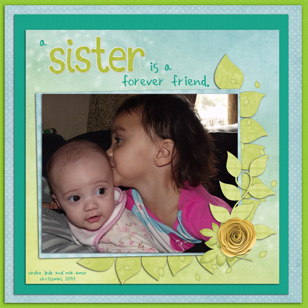 a sister is a forever friend.