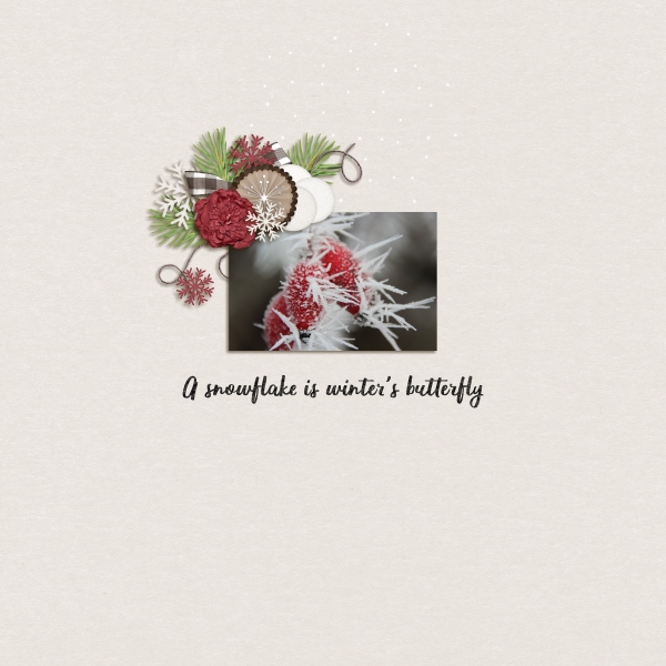 A snowflake