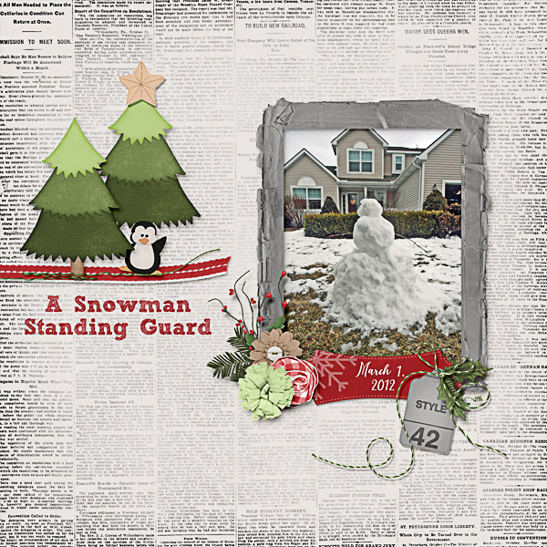 A Snowman Standing Guard