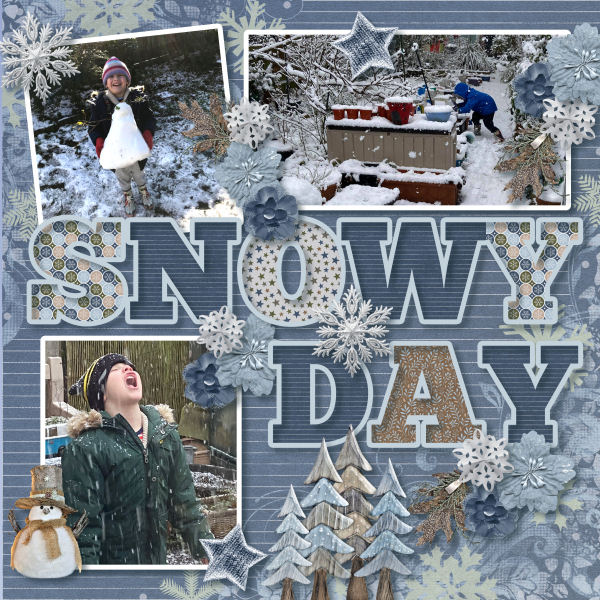 A Snowy Day in January