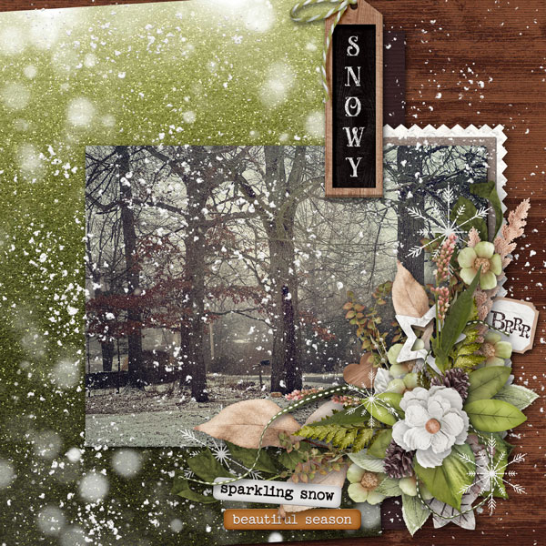 a snowy day