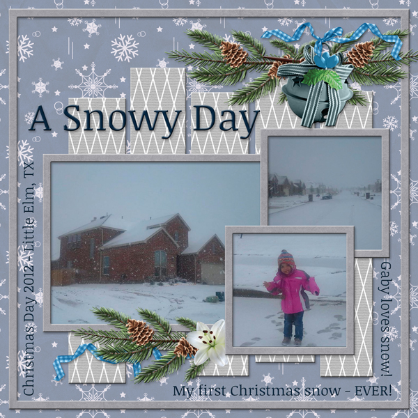 A Snowy Day