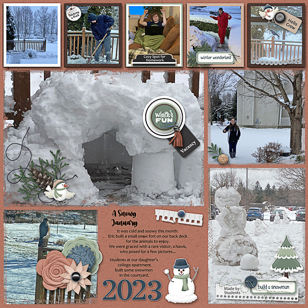 A Snowy January in 2023