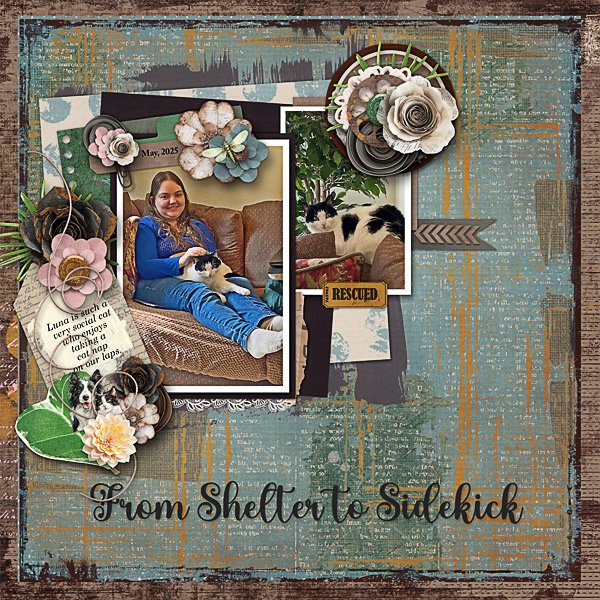 A Social Sidekick
