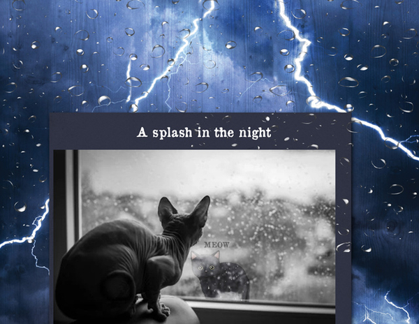A splash in the night