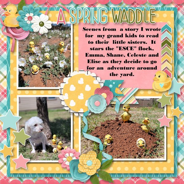 A Spring Waddle