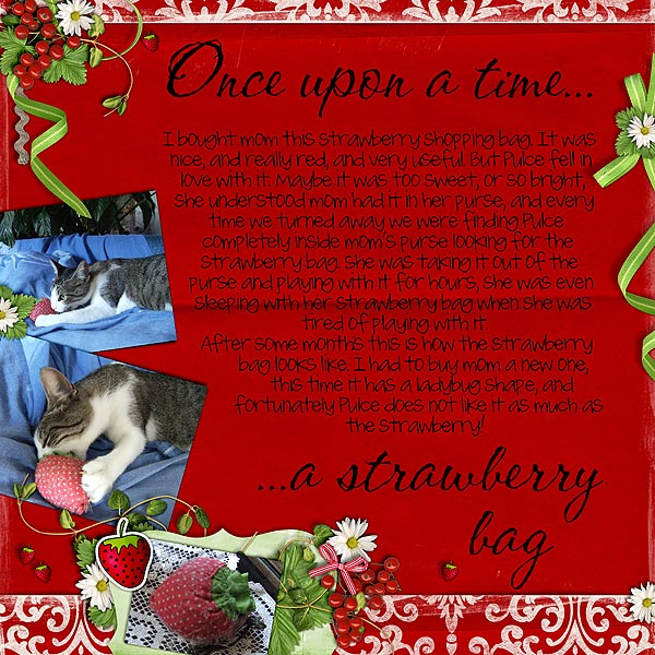 A Strawberry Bag