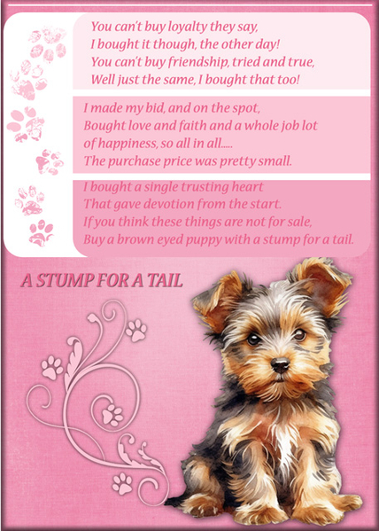 A STUMP FOR A TAIL
