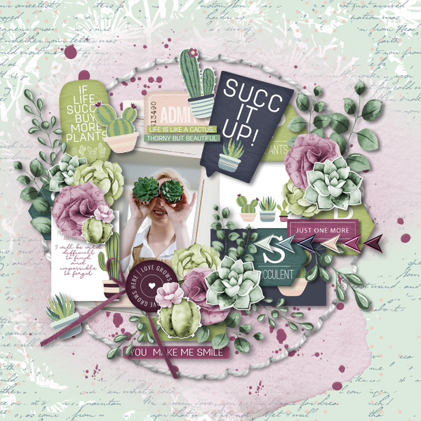 A Succulent Life
