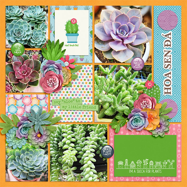 A succulent spring