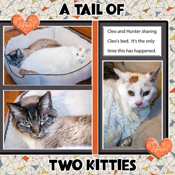 A Tail Of Two Kitties
