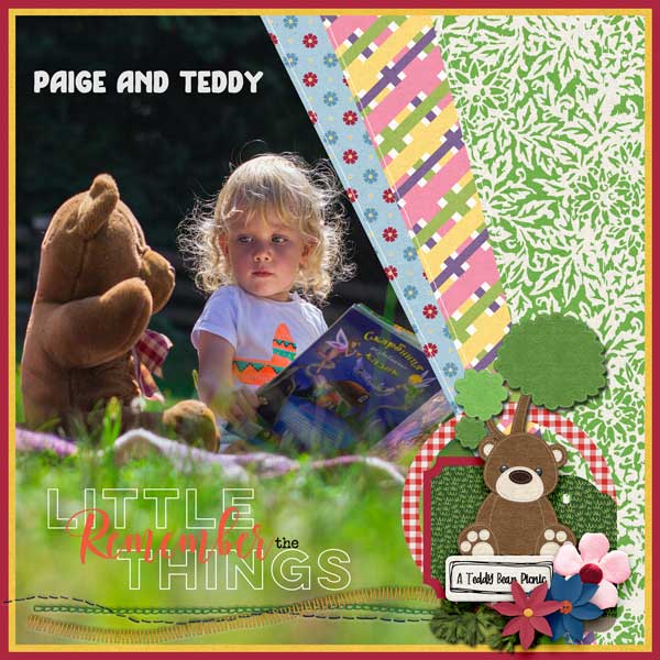 A Teddy Bear Picnic