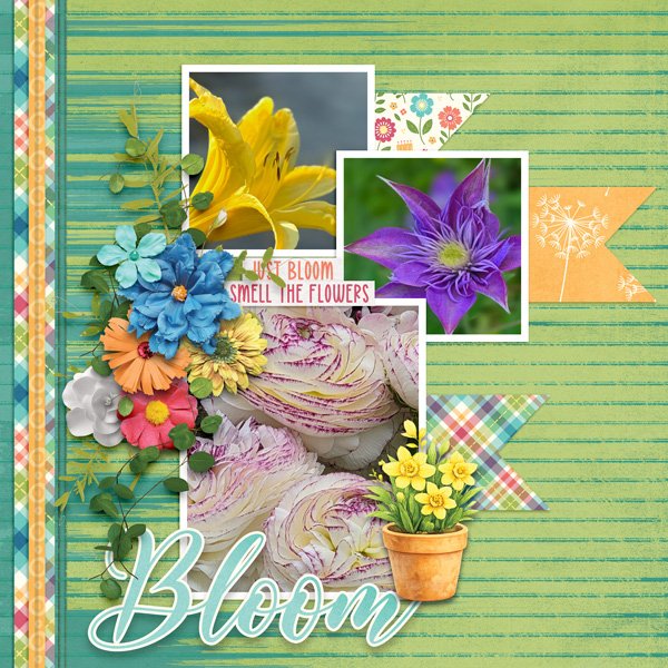 A-Time-to-Grow-01.jpg
