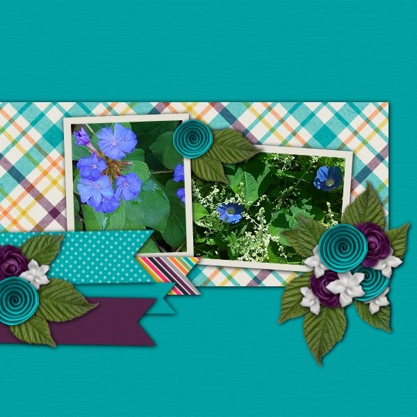 A Touch of Blue